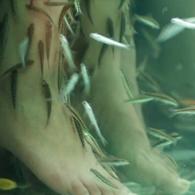 Fiskpedikyr